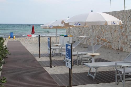 pedana spiaggia-decking-Lido io posso-wpc-felli-foto 4
